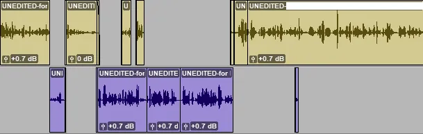 Screenshot of Pro Tools with an interview dialog edit, removing off-mic dialog.